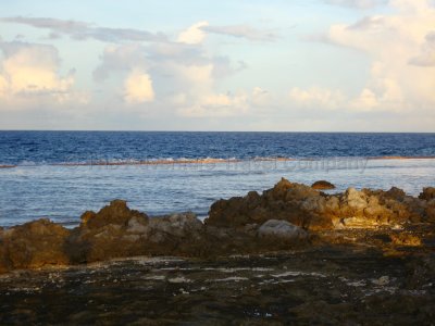 IMG_09815.jpg