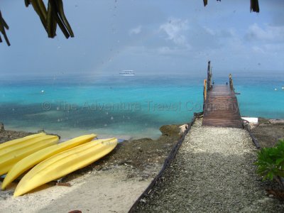 IMG_09886.jpg