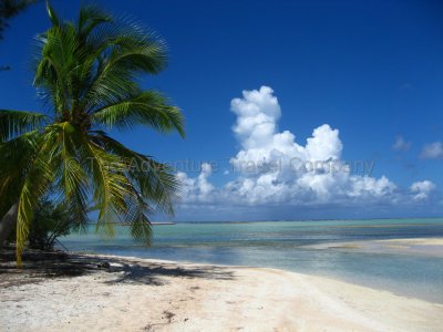 IMG_09983.jpg