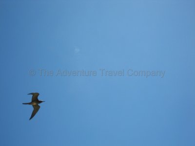 IMG_09988.jpg