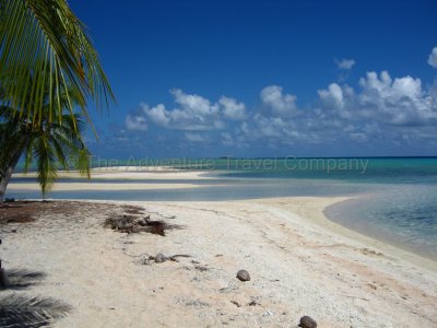 IMG_09992.jpg