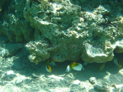 IMG_10071.jpg