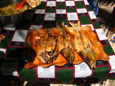 IMG_10135.jpg
