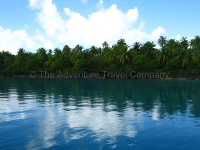 IMG_10236.jpg