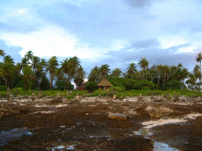 IMG_10336.jpg