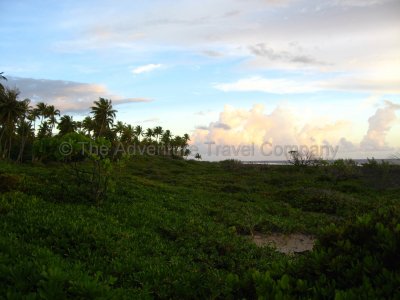 IMG_10338.jpg