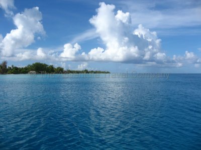 IMG_10391.jpg