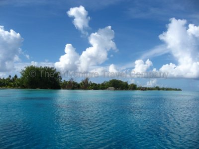 IMG_10395.jpg