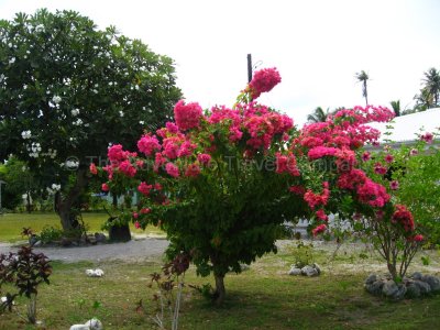 IMG_10427.jpg