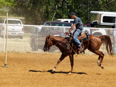 riding competition