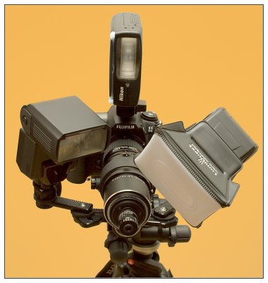 Macro Nikkor 19mm f/2.8 - Field Setup