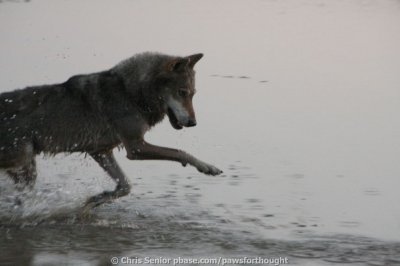 Bulgaria 2010 summer
