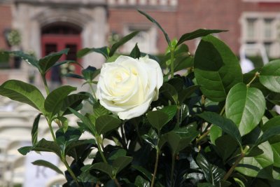 IMG_0513.jpg