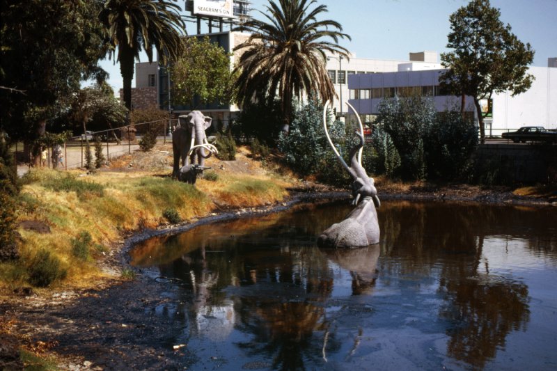 Tar Pits of Rancho La Brea