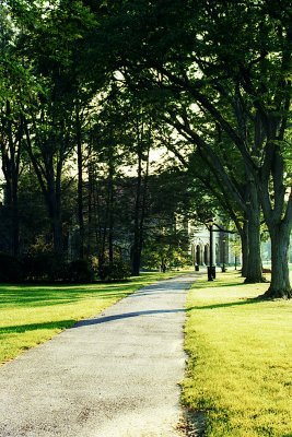 Academia 3 - the campus sunset stroll