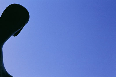 sky gazer