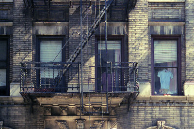 New York scene