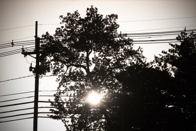 power lines