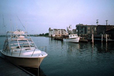 g1/04/714204/3/114347044.VTx5rCfL.jpg