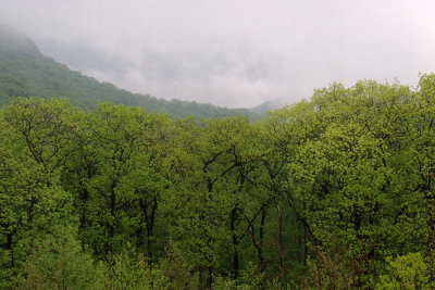 g1/04/714204/3/114357844.EvOizoRE.jpg