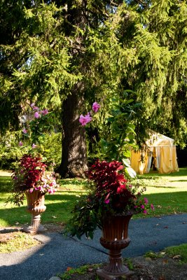 yellow tent