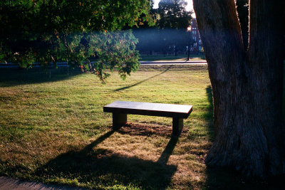 beam