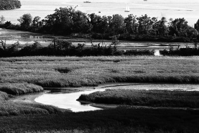 Hudson River wetlands