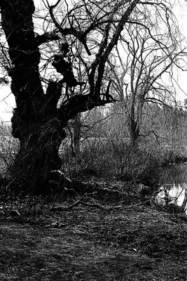 g1/04/714204/3/130959912.LPstkV0B.jpg