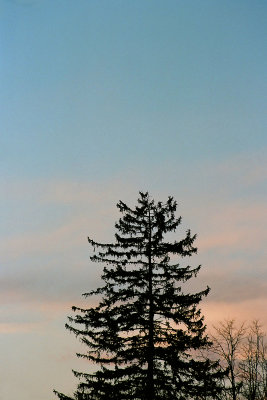 g1/04/714204/3/132013764.Y6cjcsxF.jpg
