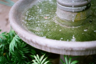 fountain
