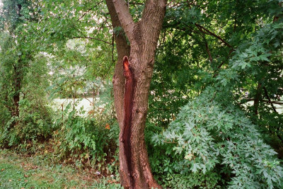 lightning struck