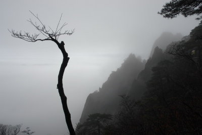 DSC07983.JPG