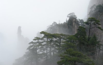 DSC08161.jpg