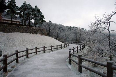 After a night of snow