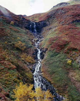 IMAGE0064.JPG