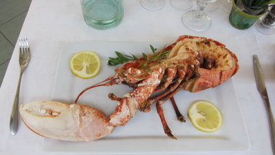 Jumbo Mediterranean Blue Lobster