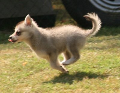 92808 214.JPG