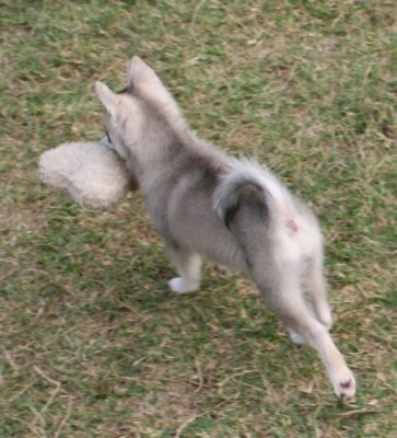Stormy 101608 3.JPG