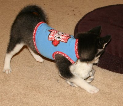 Harlee (Fremont) 038.JPG