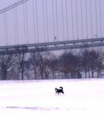 Snow_Day_Bebop_Bridge.JPG