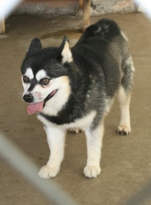 Kotzebue 7/2/09