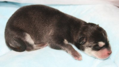 Boy pic3.JPG