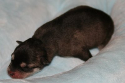 Girl1 pic6.JPG