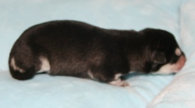 Girl2 pic3.JPG