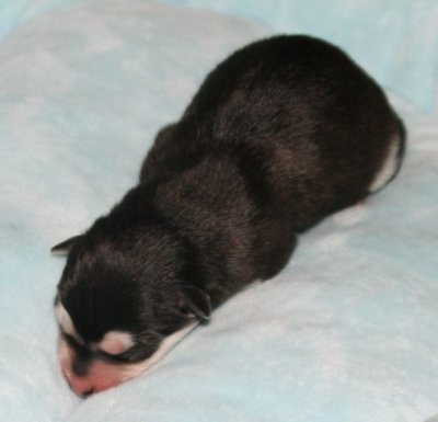 Girl2 pic7.JPG