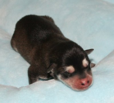 Girl3 pic1.JPG