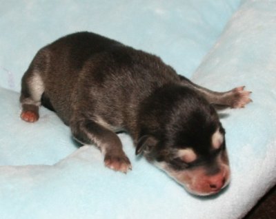 Girl3 pic4.JPG