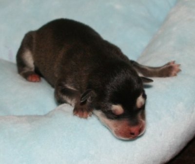 Girl3 pic5.JPG