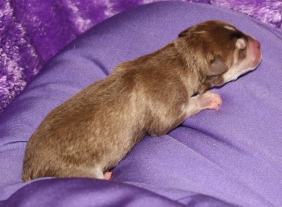 Mikiah Boy Pic2 101809.JPG