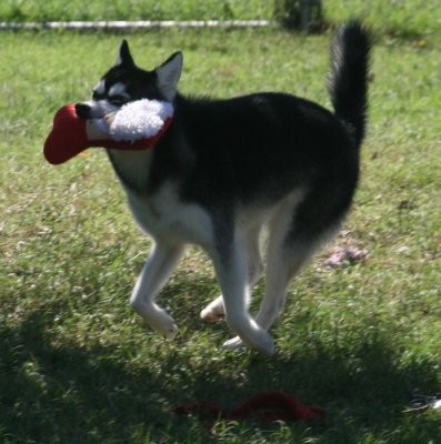 025.JPG